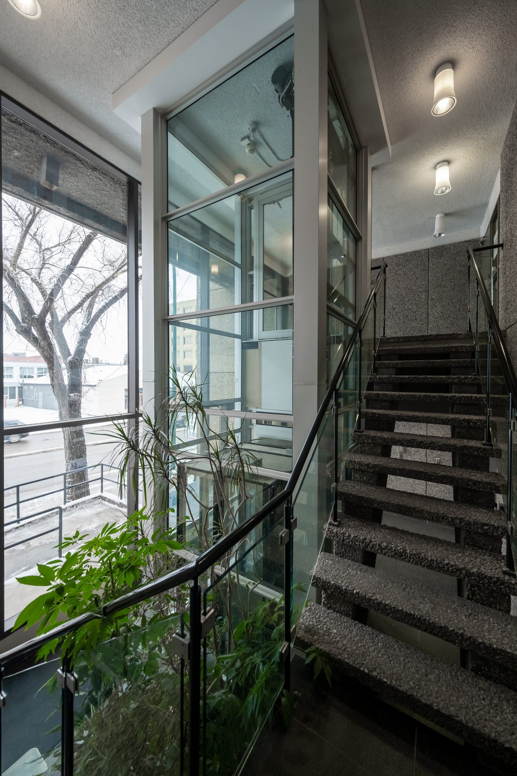 low rise commercial elevators